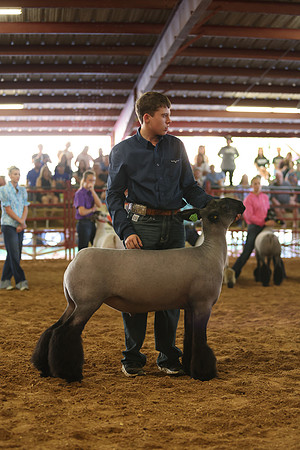 Lamb Show-48