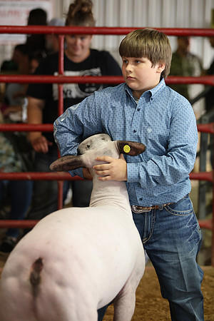 Lamb Show-141