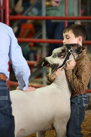 Lamb Show-155