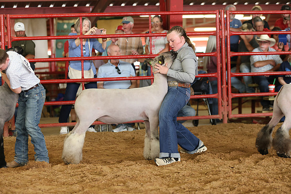 Lamb Show-74