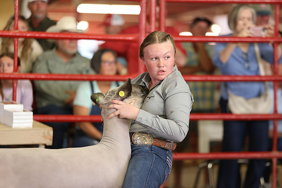 Lamb Show-60
