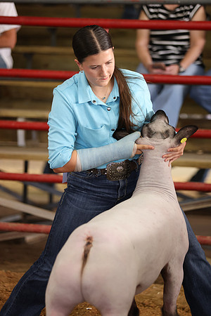 Lamb Show-86