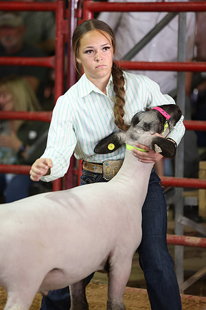 Lamb Show-79