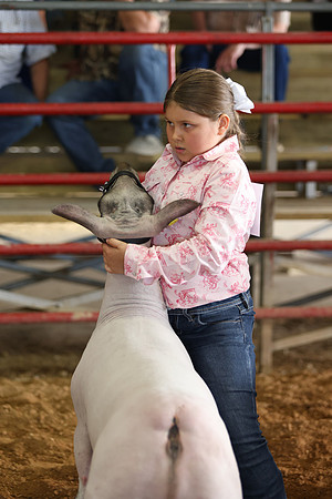 Lamb Show-158