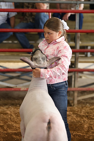 Lamb Show-159