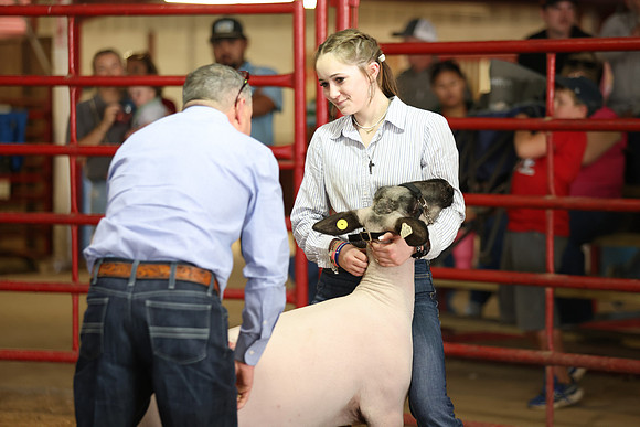 Lamb Show-78