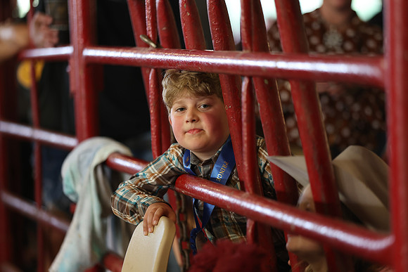 Lamb Show-171