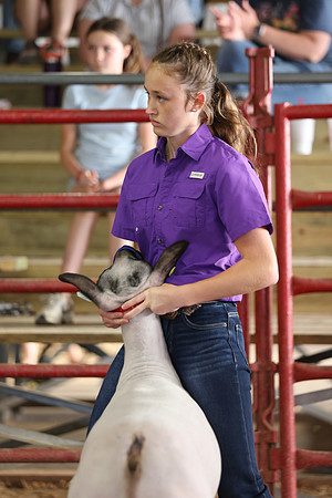 Lamb Show-93