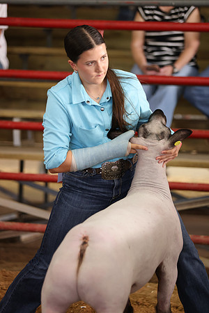 Lamb Show-85