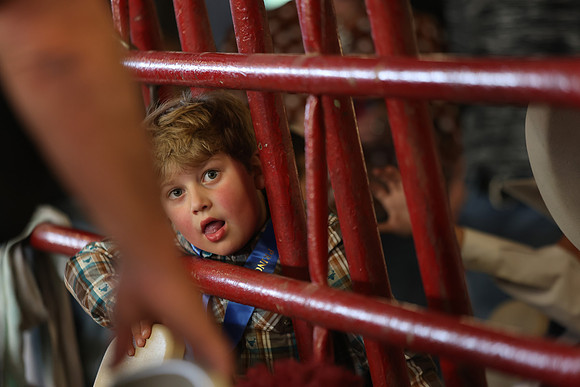 Lamb Show-173