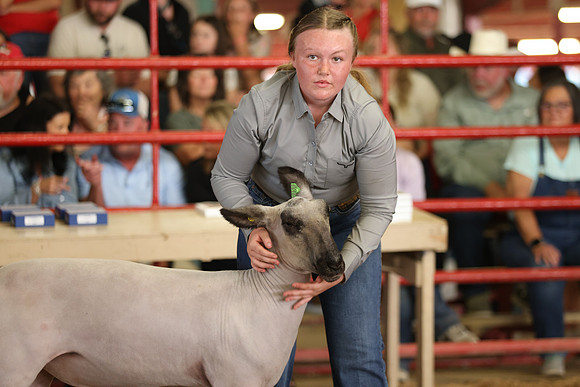 Lamb Show-52