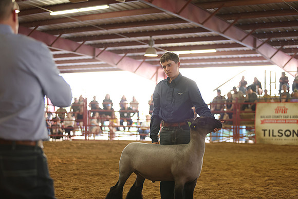 Lamb Show-46