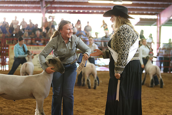 Lamb Show-47