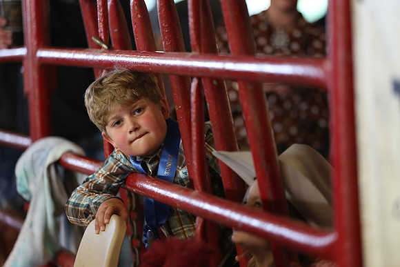 Lamb Show-172