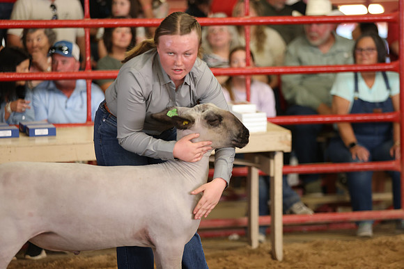 Lamb Show-53