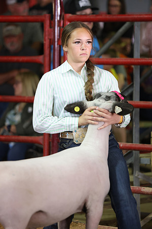 Lamb Show-84