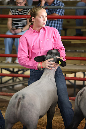 Lamb Show-90