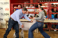 2026 WCF - Market Lamb