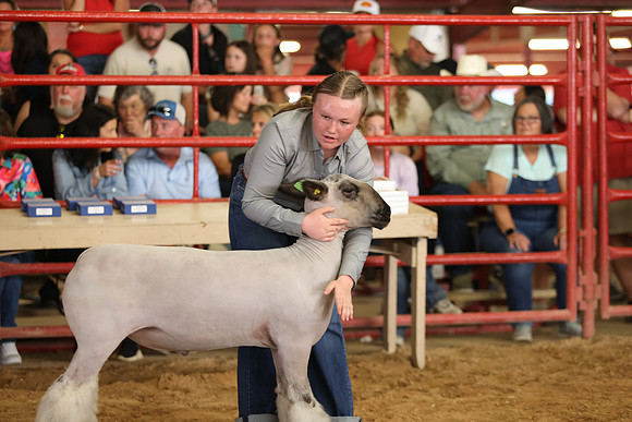 Lamb Show-54