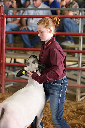 Lamb Show-161