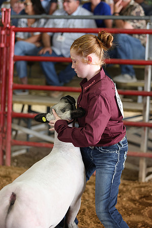 Lamb Show-160