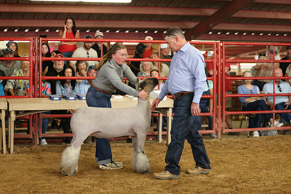 Lamb Show-55