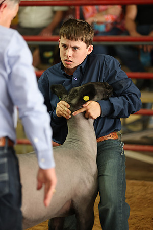 Lamb Show-82