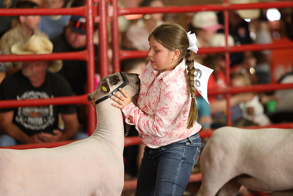 Lamb Show-113