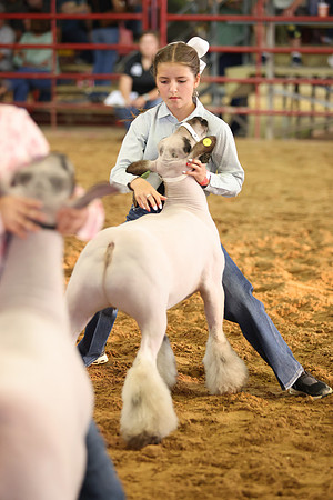 Lamb Show-26