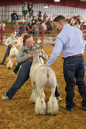 Lamb Show-32
