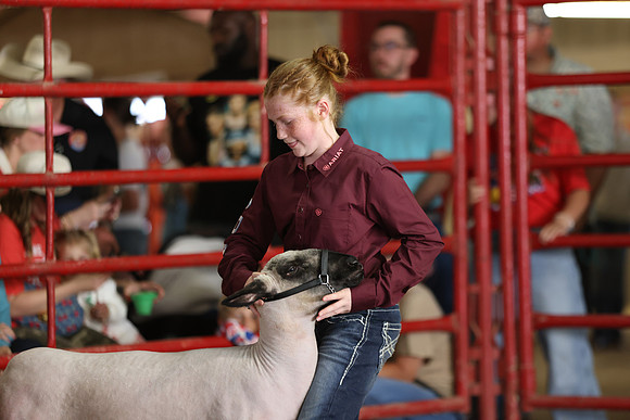 Lamb Show-112