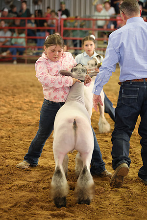 Lamb Show-27