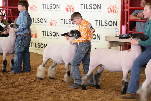 Lamb Show-104