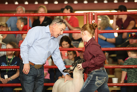 Lamb Show-110