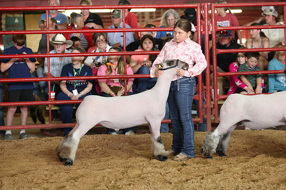 Lamb Show-138