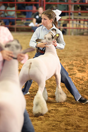 Lamb Show-25