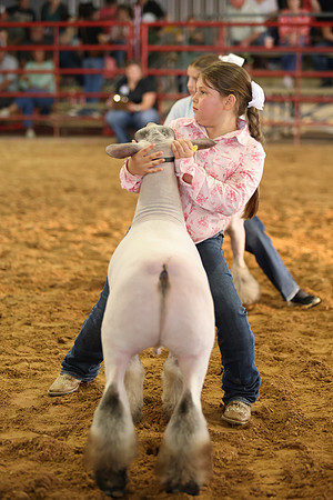 Lamb Show-24