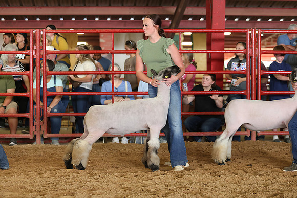 Lamb Show-139