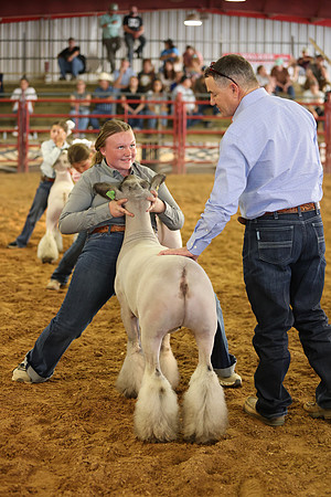 Lamb Show-30