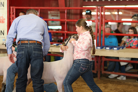 Lamb Show-105