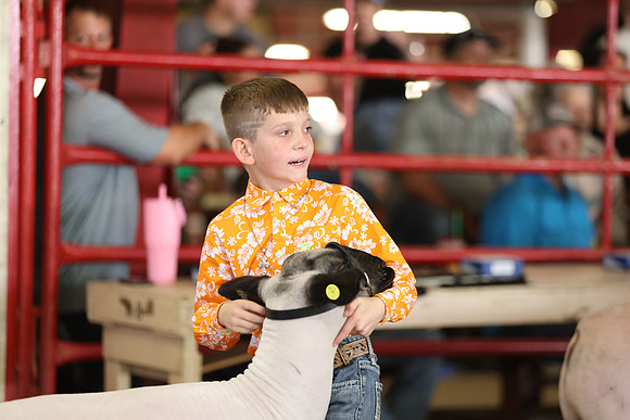 Lamb Show-129