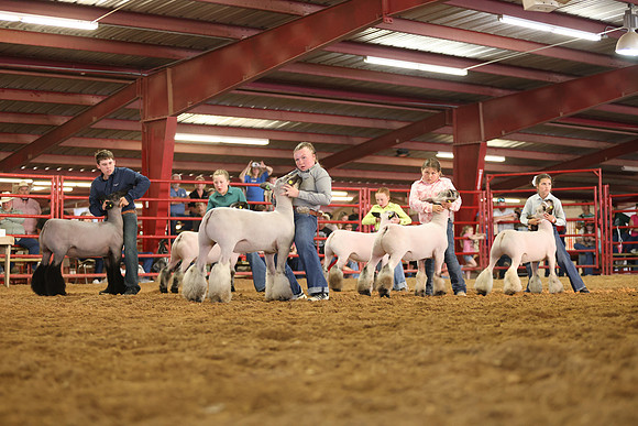 Lamb Show-20