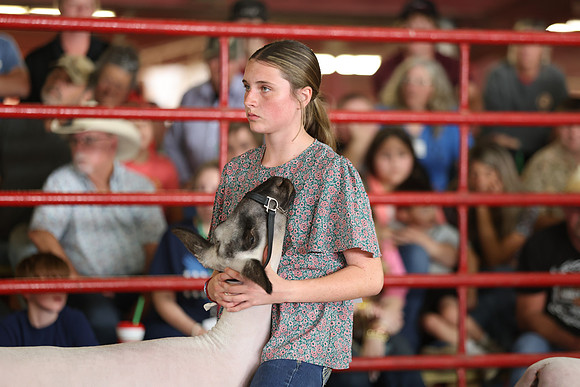 Lamb Show-114