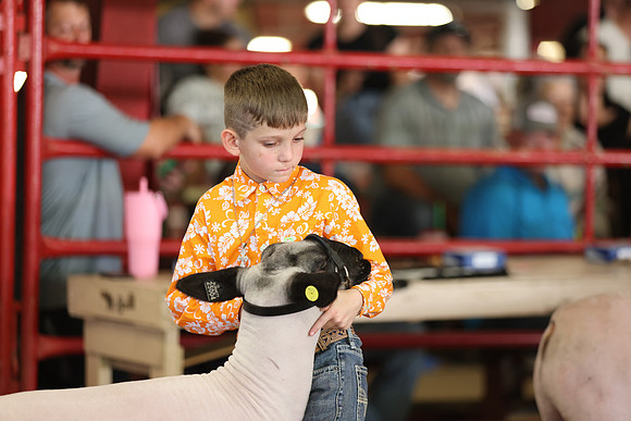 Lamb Show-128