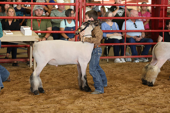 Lamb Show-116