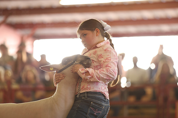 Lamb Show-103