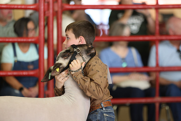 Lamb Show-117