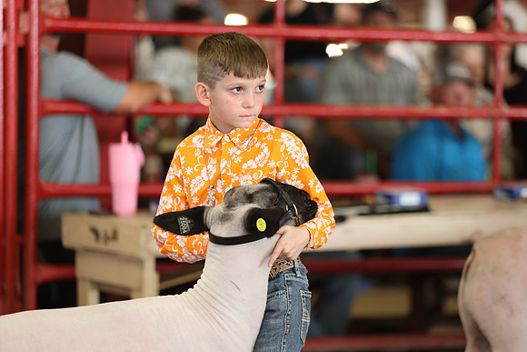 Lamb Show-127