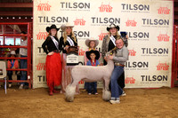 Lamb Show-6