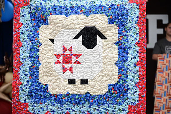 Jr. Quilt Show-5